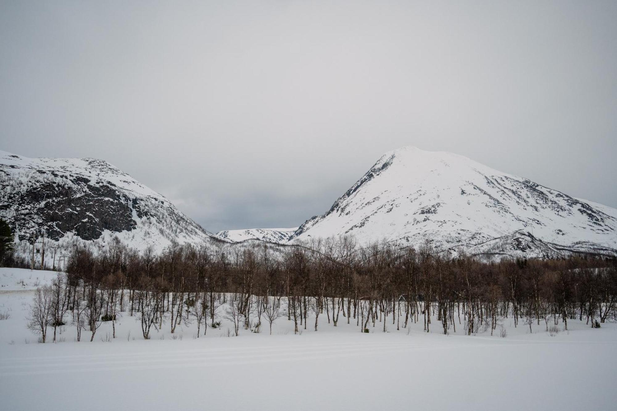Fredfullt Hus Ved Oksfjordvannet Storslett